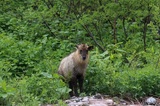 190618_057.jpg