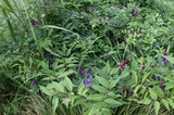 190619_107.jpg