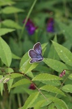 190619_164.jpg