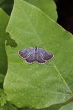190619_199.jpg