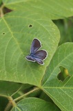 190619_211.jpg