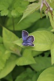190619_268.jpg