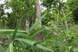 190706_44.jpg
