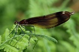 190707_04.jpg