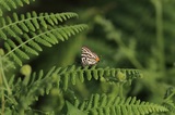 190707_10.jpg