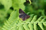 190707_38.jpg