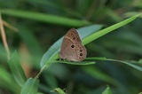 190710_06.jpg