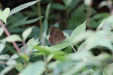 190710_08.jpg