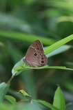190710_17.jpg