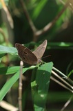 190710_37.jpg