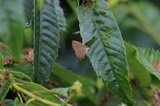 190714_098.jpg