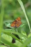 190714_143.jpg