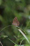 190720_03t.jpg