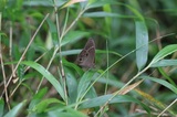 190720_03.jpg