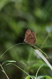 190720_10.jpg
