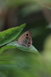 190720_23.jpg