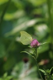 190802_152651.jpg