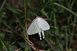 190802_30.jpg