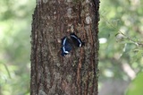 190811_050.jpg