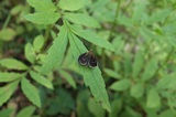 190811_1531.jpg