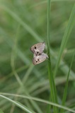 190901_1538.jpg
