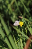 190914_049.jpg