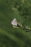 190914_084.jpg