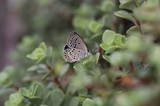 190914_158.jpg