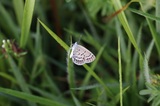 190915_238.jpg