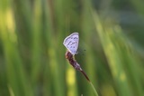 190915_442.jpg
