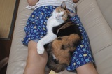 190924_1536.jpg