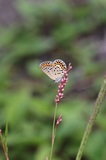 190928_050.jpg