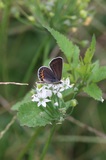 190928_065.jpg