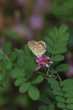 190928_094.jpg