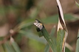 200430_07.jpg