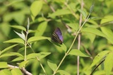 200501_12.jpg