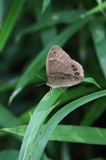 200718_063.jpg