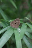 200718_096.jpg