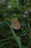 200718_142.jpg