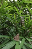 200718_34.jpg