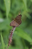 200731_045.jpg