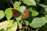 200731_073.jpg
