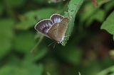 200809_079.jpg