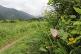 200809_08.jpg