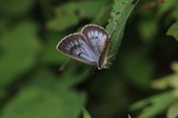 200809_116.jpg