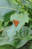 200809_145.jpg
