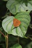 200810_109.jpg