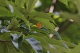 200810_236.jpg