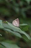 200812_10.jpg