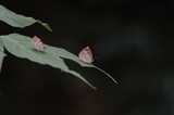 200812_30.jpg
